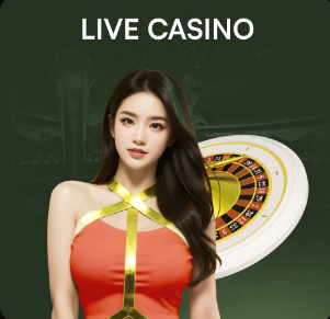 2026年4月3日智利甲智利天主大学vs帕莱斯蒂诺直播【24直播网】